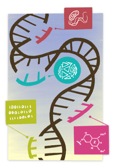 An image of DNA